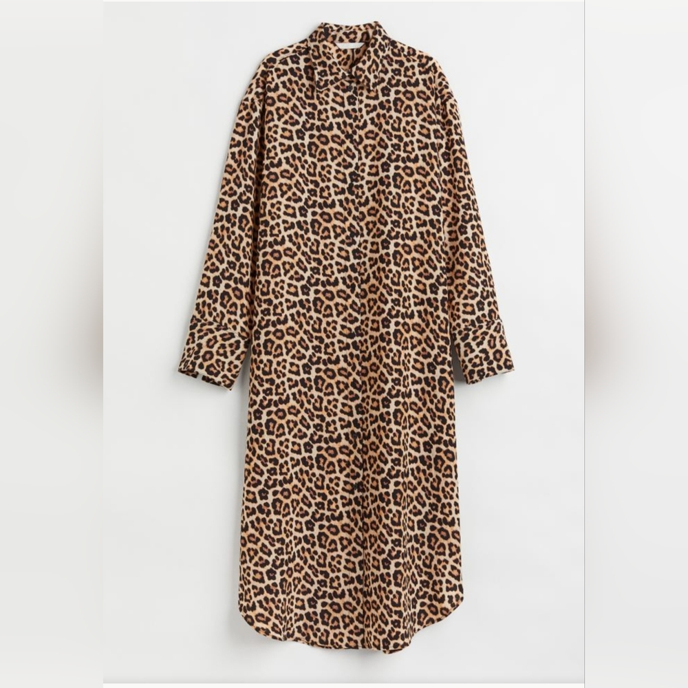 H&M Shirt Dress